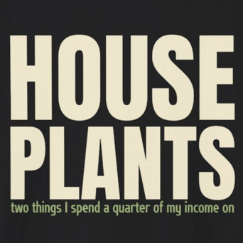 House Plants (two things I spend a quarter of my income on)